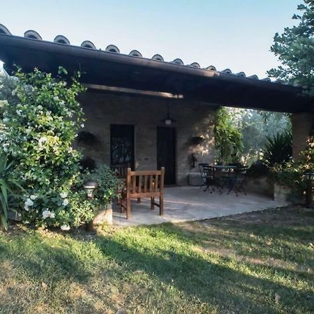 Dimora Borgogni: Country House 佩鲁贾 外观 照片